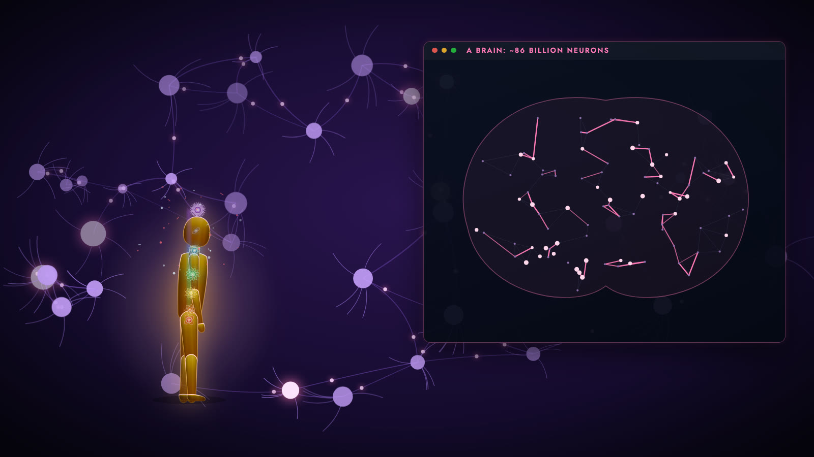 Inside the machine — and the brain